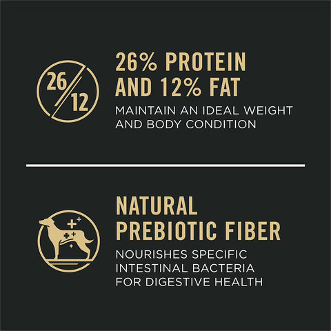 Purina Pro Plan adult large breed dog food with chicken and rice formula, shown in a dry kibble bag.