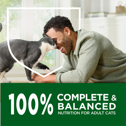 Purina Indoor Cat Chow Dry Cat Food