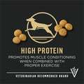 Purina Pro Plan Adult Large Breed Chicken & Rice Formula dry dog food in a bag with kibble visible inside.