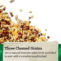 Nutrena NatureWise 7lb. Scratch Grains