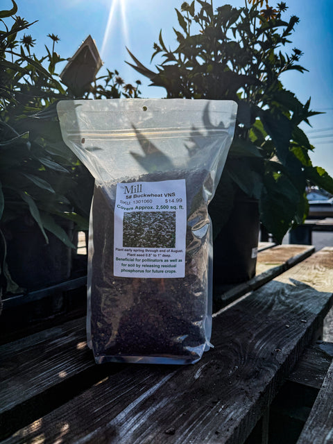 A clear stand-up pouch filled with dark brown buckwheat sits on a weathered wooden table outdoors, with potted plants and bright sunlight in the background.