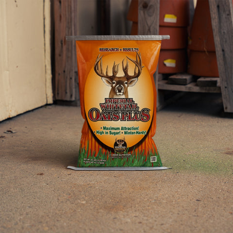Deer feeding on Imperial Whitetail® Oats Plus by Bradley Caldwell Inc, showing a close-up of oats in a natural outdoor setting.