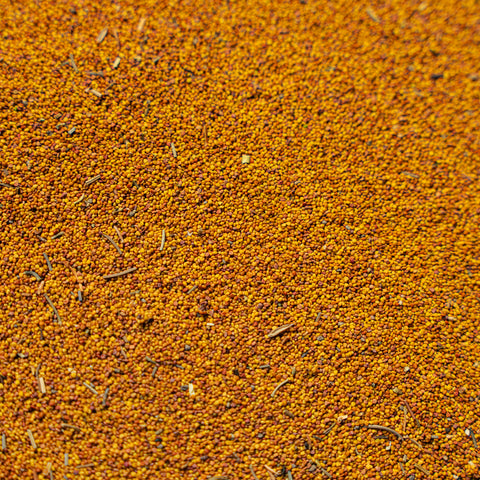 A close-up, top-down view of a textured orange-brown ladino seed mixture, filling the entire frame.