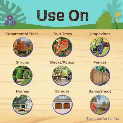 a graphic of what lanternfly insecticide spray can be used on: ornamental trees, fruit trees, grapevines, shrubs, decks/patios, fences, homes, garages, barns/sheds.