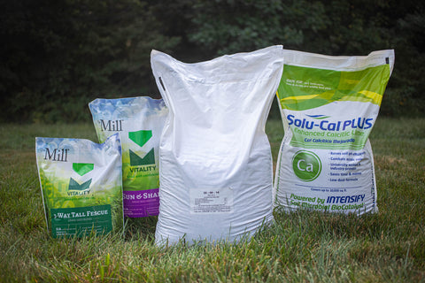 Lawn Care products in lawn