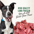 Dog treats in a 3lb bag, Wholesomes Gourmet Rewards Lite Bites by Bradley Caldwell Inc, featuring bite-sized, healthy dog snack pieces.