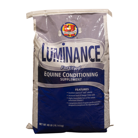 Hallway Luminance Bag