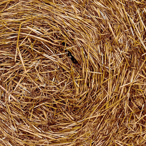 Baled Pine Straw Mulch