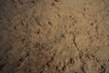 Close-up of sandy surface with natural texture