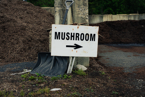 Sign pointing to mushroom with a shovel and compost in the background