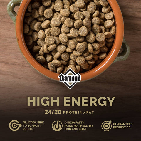 Orange ceramic bowl filled with Diamond High Energy Dry Dog Food kibble, showcasing crunchy, nutrient-rich dog food for active dogs.