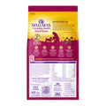 Small breed Wellness Pet Company turkey and oatmeal dry dog food, 12 lb bag, featuring kibble and natural ingredients for healthy digestion.