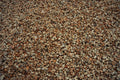 Close-up of multicolored gravel