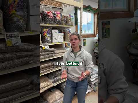 YouTube video preview of Mill employee talking. 