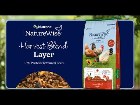 An informational video on Nutrena NatureWise Harvest Blend Layer Feed. This leads to youtube.com.