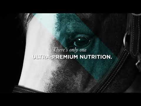 An informational video on ProElite Growth. This link leads to Youtube.com.