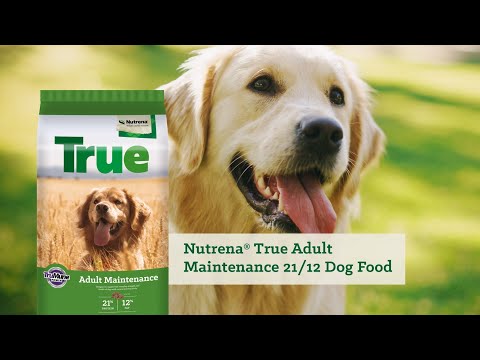 An informational video on Nutrena True Adult Maintenance 21/12 Dog Food with a golden retriever panting in a grassy field. This link leads to youtube.com.