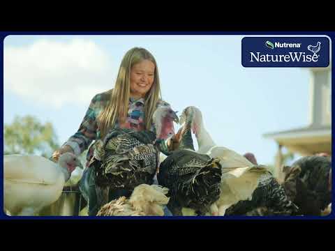 An informational video on 
Nutrena NatureWise Meatbird Start to Finish Feed with a woman feeding different poultry animals. This link leads to YouTube.com.