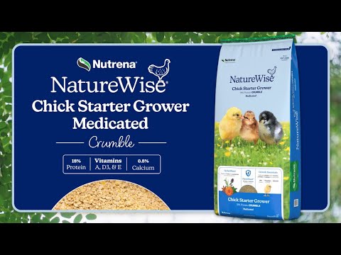 An informational video on NatureWise Chick Starter Grower Medicated. This link leads to youtube.com.