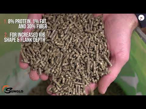 An informational video on Sunglo: Full Tank for Cattle. This link leads to youtube.com.