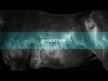 An informational video on ProElite Senior. This link leads to Youtube.com.
