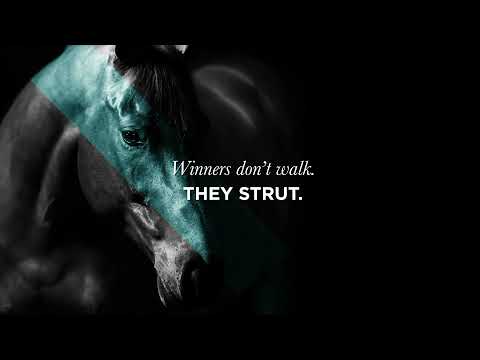An informational video on ProElite Performance. This link leads to Youtube.com.