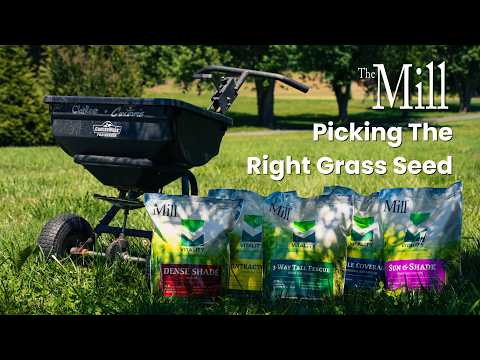 Link to picking the right grass seed on YouTube.com