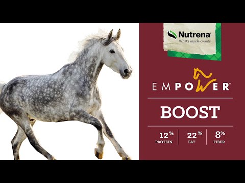 An informational video on 
Nutrena Empower Boost Horse Supplement with a spotted horse running. This link leads to YouTube.com.