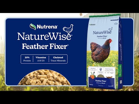 An informational video on 
NatureWise Feather Fixer. This link leads to Youtube.com.