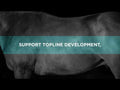 An informational video on ProElite Topline Advantage. This link leads to Youtube.com.