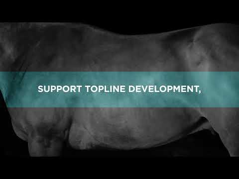 An informational video on ProElite Topline Advantage. This link leads to Youtube.com.