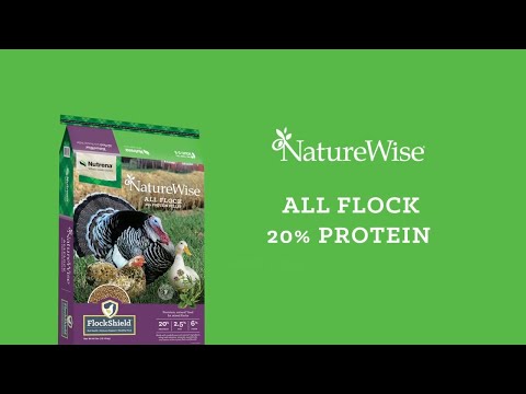 A link to an informational video on NatureWise All Flock 20% Pelleted Poultry Feed. This link goes to YouTube.com.
