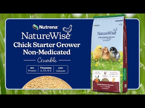 A link to an educational video on NatureWise Chick Starter Grower Non Medicated feed with a product on a blue background. This link goes to YouTube.com.