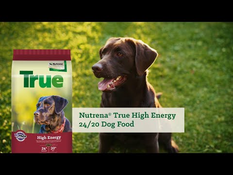 An informational video on 
Nutrena True High Energy 24/20 Dog Food with a dog sitting in the grass. This link leads to youtube.com.