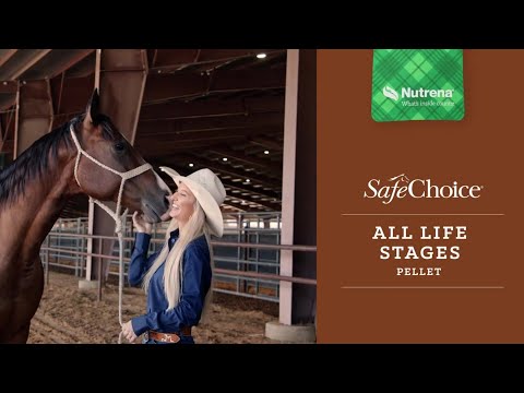 An informational video on Nutrena SafeChoice All Life Stages with a lady petting a horse in a racing ring. This link leads to youtube.com.