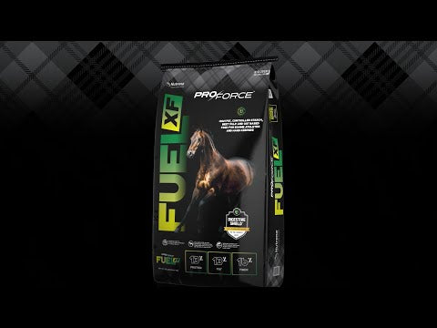A link to an informational video on ProForce Fuel XF by Nutrena. This link goes to Youtube.com.