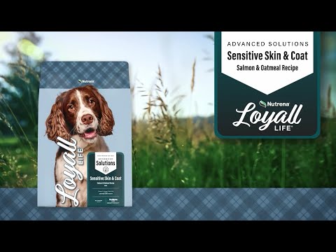 An informational video on Nutrena Loyall Life Advanced Solutions Sensitive Skin and Coat Salmon and Oatmeal Recipe. This link leads to Youtube.com.