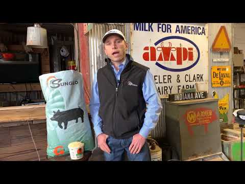 An informational video on SMOOTH from Sunglo Feeds. This link leads to youtube.com.