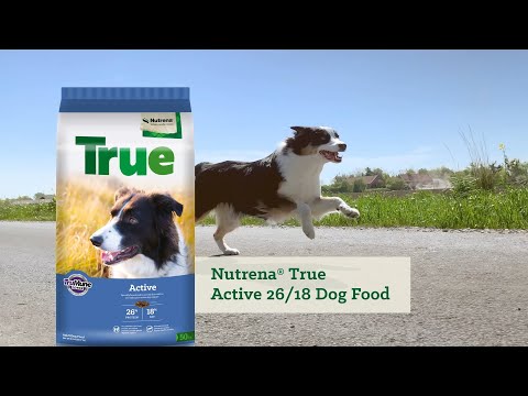 An informational video on 
Nutrena True Active 26/18 Dog Food with a dog running on a road. This link leads to Youtube.com.