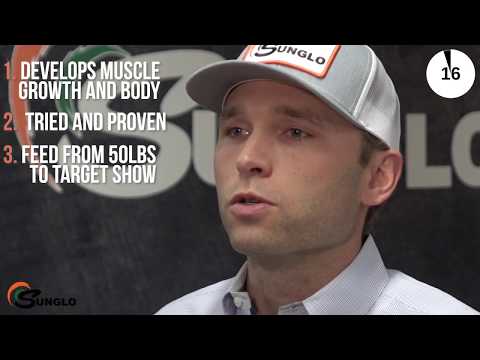 An informational video on Sunglo: 18G Pig Feed. This link leads to youtube.com.