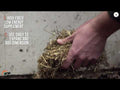 An informational video on Sunglo: 2 the Fullest with Cob Supplement. This link leads to youtube.com.