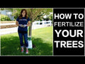 Video thumbnail of how to fertilize your trees