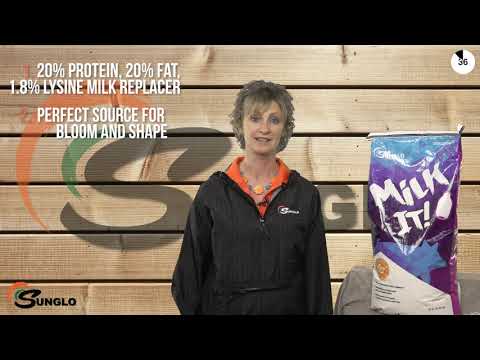 An informational video on Sunglo: Milk It!  This link leads to youtube.com.