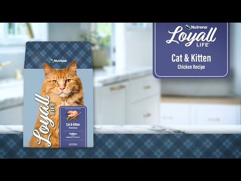 An informational video on Nutrena Loyall Life Cat & Kitten Chicken Recipe. This link leads to youtube.com.