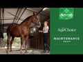 An informational video on 
Nutrena SafeChoice Maintenance with a lady petting a horse's nose in a stable. This link leads to youtube.com.