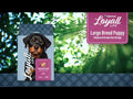 An informational video on Nutrena Loyall Life Puppy Large Breed Chicken & Brown Rice Recipe. This link leads to youtube.com.