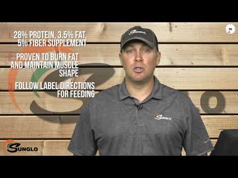 An informational video on Sunglo: Final Control. This link leads to youtube.com.