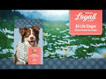 An informational video on Nutrena Loyall Life Chicken & Brown Rice Recipe. This link leads to youtube.com.