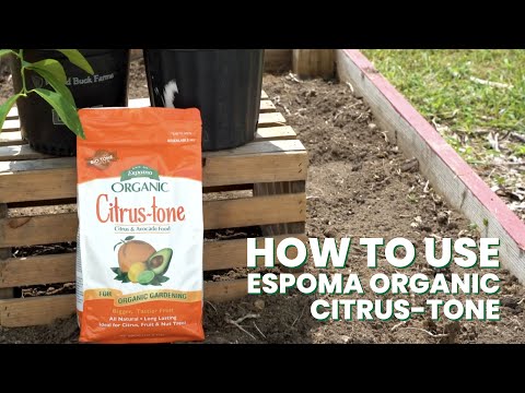 Espoma Citrus-tone with text "how to use espoma organic citrus-tone" to it's right