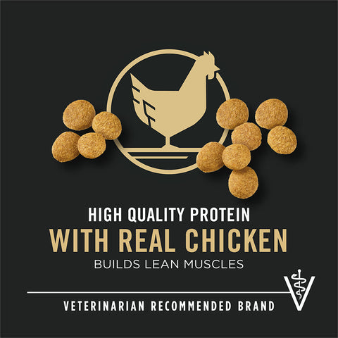 Bag of Purina Pro Plan large breed puppy chicken and rice dry dog food showing the product packaging and branding.